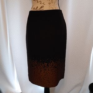 Ann Taylor - Pensil Skirt - Size 2